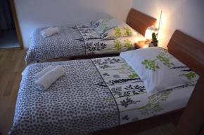 Hotels in Čiginj